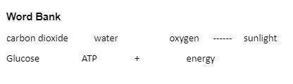 Using the word bank bellow write the chemical equation for photosynthesis. symbols and words can be