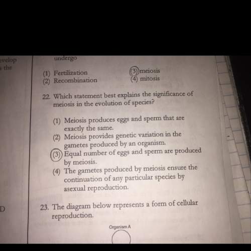 Why is 2 the correct answer to number 22 ? explain why and answer this
