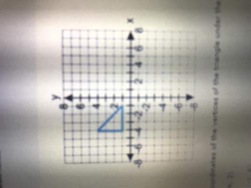 What are the coordinates of the vertices of the the triangle under the traslation (x,y)-&gt; (x+3,