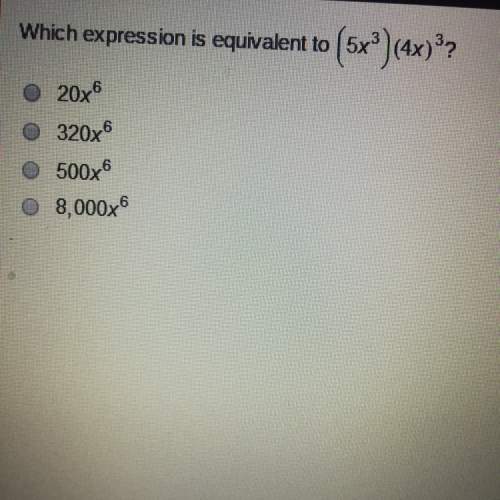 What is the correct answer can you guys me pla