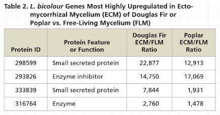 For the gene encoding the first protein listed, what does the number 22,877 indicate?