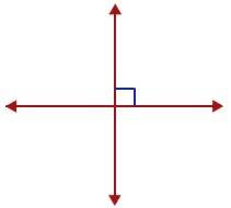 What is the difference between, parallel, perpendicular, and skew lines ?