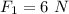 F_{1}=6\ N