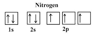 Four possible electron configurations for a nitrogen atom are shown below, but only one schematic re