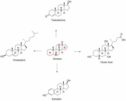 What cycloalkanes are present in a steroid ?