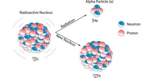 During which radioactive decay process does a nucleus lose 2 neutrons and 2 protons?  a. alpha decay