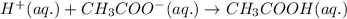 H^+(aq.)+CH_3COO^-(aq.)\rightarrow CH_3COOH(aq.)