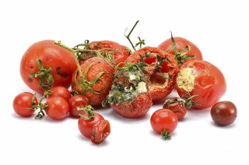 10 pointsis rotting tomatoes a chemical or physical change?