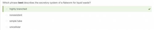 Which of the following best describes the excretory system of a flatworm for liquid waste?  nonexist