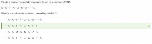 This is a normal nucleotide sequence found on a section of dna:  a-a-t-a-g-c-a-t-t  what is a small