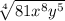 \sqrt[4]{81 {x}^{8} {y}^{5}  }