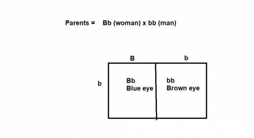 Awoman is heterozygous for blue eyes. if she were to have child with a man who is homozygous recessi