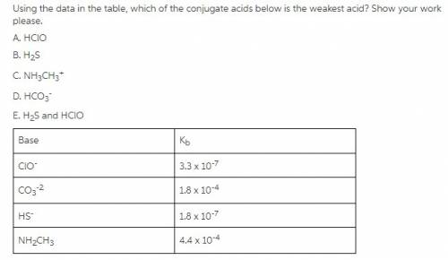 Using the data in the table, which of the conjugate acids below is the weakest acid?