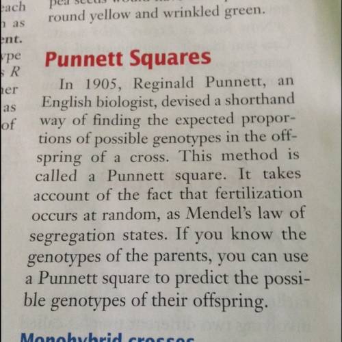 What is a fact about a punnet square