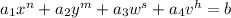 a_1x^n + a_2y^m + a_3w^s + a_4v^h = b