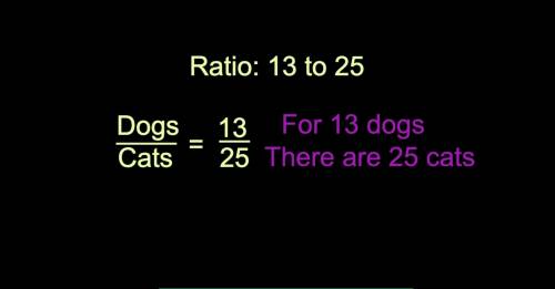 The ratio of dogs to cats at a local animal shelter is 13/25. which statement must be true?  a. for