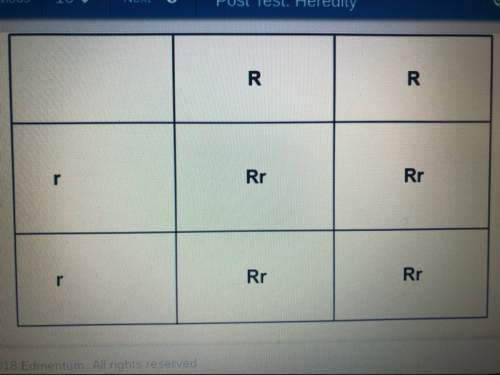 Question- which two statements are true for the cross illustrated by this punnett square? key -