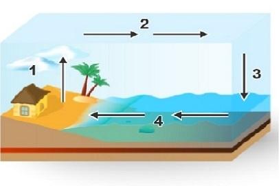 Study the image. what do the arrows at point 3 indicate? cool air is above water. warm air is above