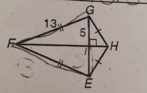 What is the area of triangle efg and how?