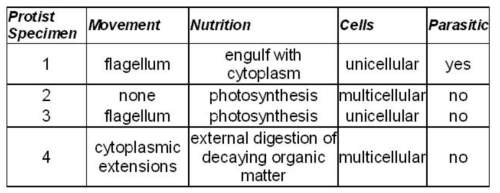 This table shows characteristics of four unknown protist species. which protist specimen is most lik