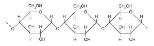 Part of a starch molecule is shown below. what type organisms typically make starch and for what pur