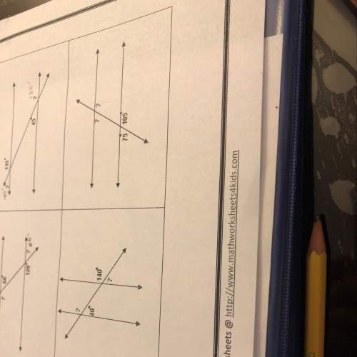 Someone me with the last 2 problems to find the missing angles