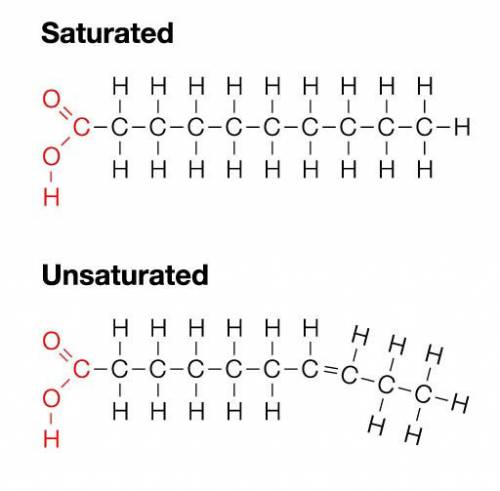 What are two differences between saturated and unsaturated fats?