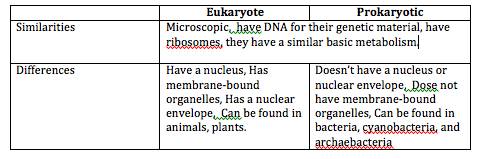 List 3 similarities between eukaryotic and prokaryotic cells
