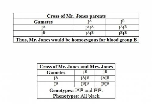 Mr. jones has blood type b and mrs. jones has blood type ab. what is the probability that they will