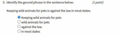 Identify the gerund phrase keeping wild animals as pets is against the law in most states