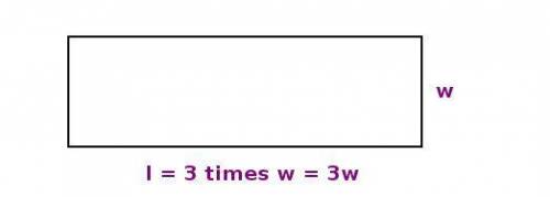 The length of a rectangle is equal to triple the width. what are the dimensions of the rectangle if