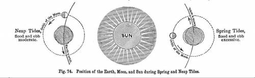 Describe the relative positions of earth, the moon, and the sun for a spring tide and for a neap tid