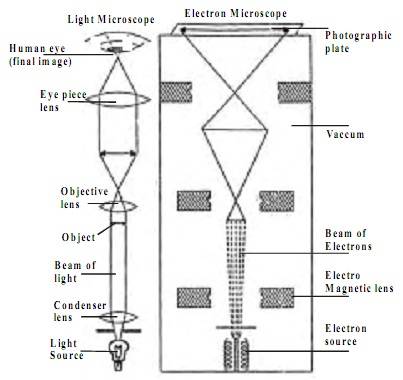 How does an an electron microscope work?