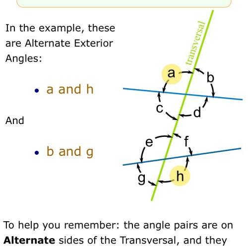 What is a pair of alternate exterior angle?