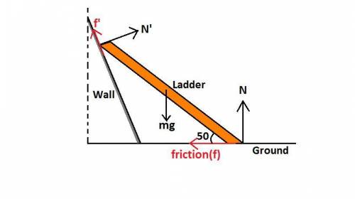 Aladder leans against a non vertical wall with friction that make a angle of 50 degree with ground.