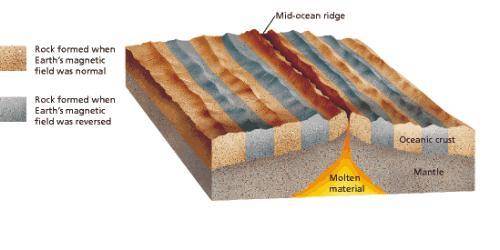 Two tectonic plates are diverging along a mid-oceanic ridge. which of the following features would n
