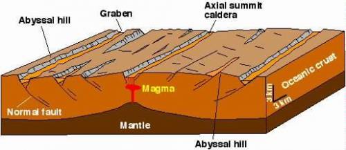 Two tectonic plates are diverging along a mid-oceanic ridge. which of the following features would n