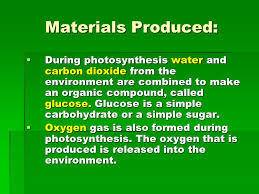 List (a) primary materials necessary for and (b) the materials produced by photosynthesis