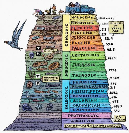 What do the eras of the geologic time scale represent?