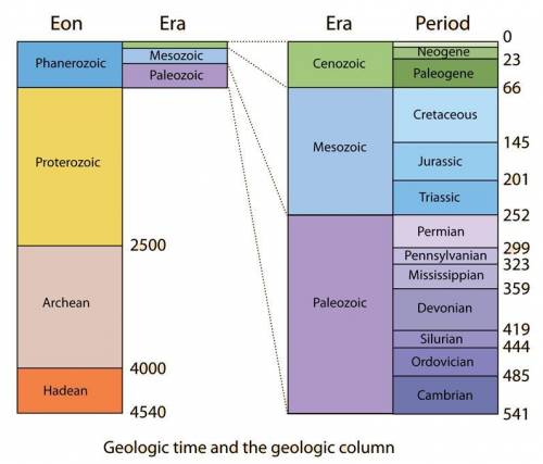 What do the eras of the geologic time scale represent?
