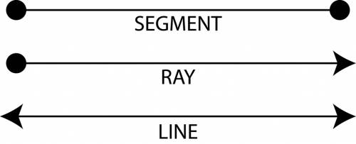What does a perpendicular line and ray look like