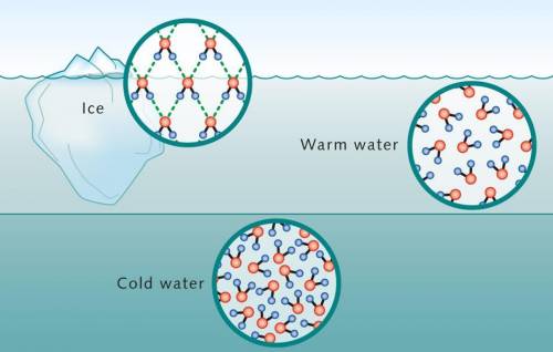 Aquatic organisms in lakes and ponds are often able to survive the winter underneath a layer of ice,