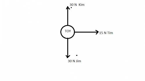 Three kids pull on a toy. kim pulls with a force of 30 n north, jim pulls with a force of 30 n south