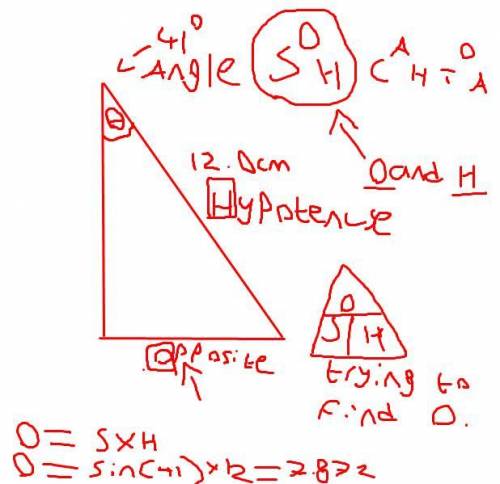 The hypotenuse of the right triangle abc is 12.0 centimeters. the angle θ is 41.0 degrees. what is t