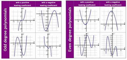Describe the end behavior of polynomial graphs with odd and even degrees. talk about positive and ne