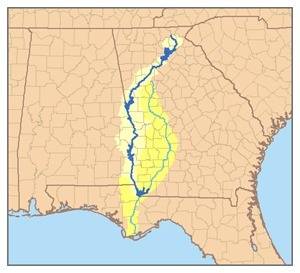 The blue line represents what river in georgia?  question 5 options: