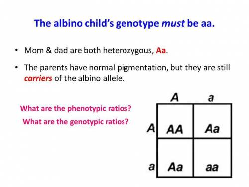 Two normally pigmented parents have an albino child. what are the parents' genotypes?
