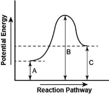 Which diagrams shows reaction pathway that absorbs energy?