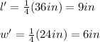 l'=\frac{1}{4}(36in)=9in\\\\w'=\frac{1}{4}(24in)=6in
