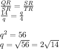 \frac{QR}{SR} =\frac{SR}{TR} \\\frac{14}{q} =\frac{q}{4} \\\\q^2=56\\q=\sqrt{56} =2\sqrt{14}